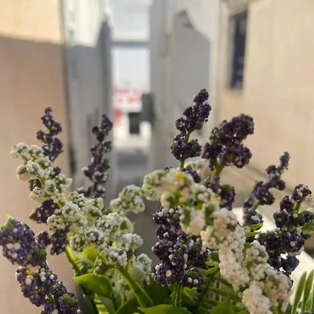 Appartement Portara Gem Naxos City